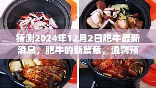肥牛新篇章,溫馨預測肥牛最新消息,展望驚喜日常