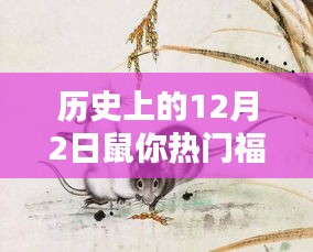 揭秘歷史上的鼠年福運,鼠年12月2日的福運揭秘
