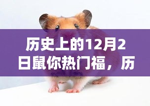 揭秘歷史上的鼠年福運,鼠年12月2日的福運揭秘