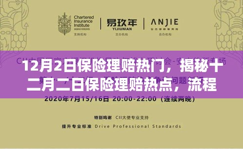 揭秘十二月二日保險(xiǎn)理賠熱點(diǎn)，流程、要點(diǎn)及注意事項(xiàng)全解析