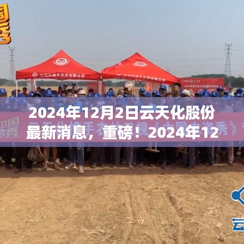 獨(dú)家揭秘，云天化股份最新動(dòng)態(tài)與未來(lái)展望（2024年12月2日更新）