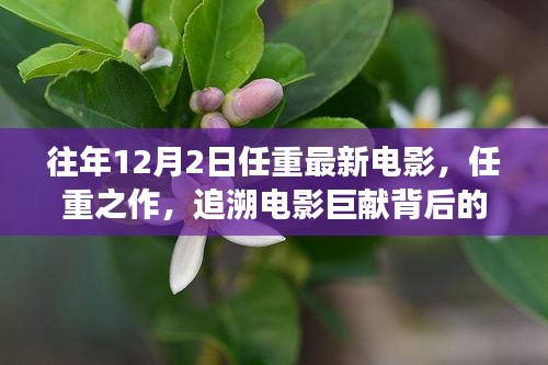 任重新作揭秘,探尋電影巨獻(xiàn)背后的故事——以十二月二日新電影為例