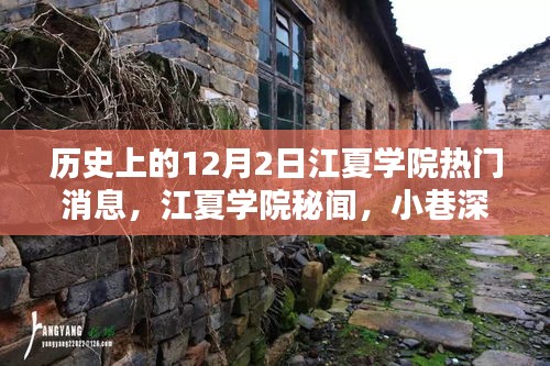 江夏學院十二月二日秘聞探尋，寶藏小店與獨特風采揭秘