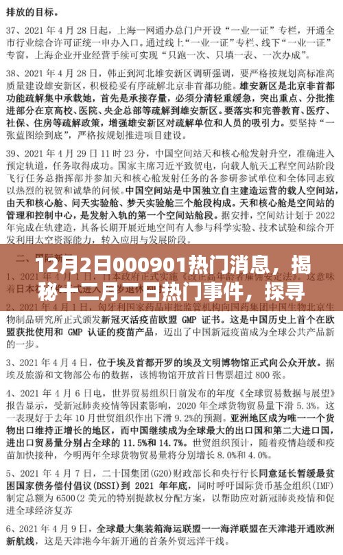 揭秘十二月二日熱門事件內幕,探尋消息背后的故事與影響