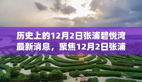 聚焦張浦碧悅灣最新動態,深度解讀12月2日新消息及其影響