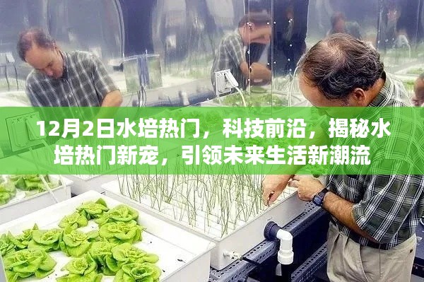 揭秘水培熱門新寵，引領未來生活潮流，科技前沿揭秘水培趨勢分析