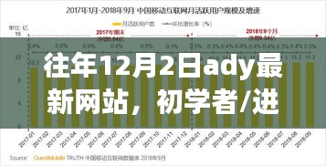 往年12月2日最新網(wǎng)站使用教程，初學(xué)者與進(jìn)階用戶指南——需注意法律風(fēng)險