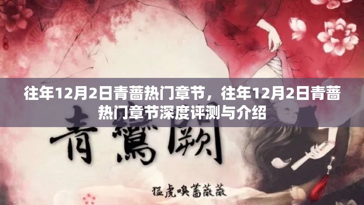 往年12月2日青薔熱門章節深度解析與評測