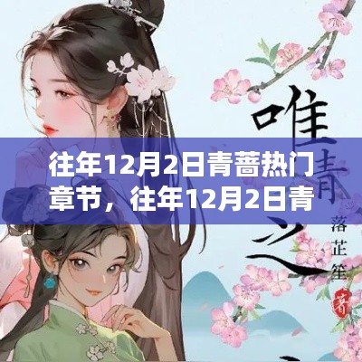 往年12月2日青薔熱門章節深度解析與評測