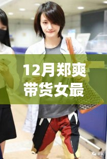 鄭爽直播帶貨盛典回顧與深度解析，12月精彩瞬間不容錯過