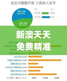 新澳天天免費精準資料大全338期,數據驅動方案實施_GT35.758-5
