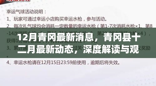 深度解讀與觀點闡述，青岡縣十二月最新動態(tài)與消息速遞