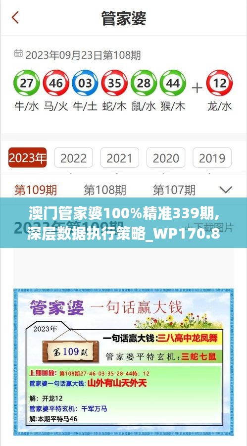 澳門管家婆100%精準339期,深層數據執行策略_WP170.884-2