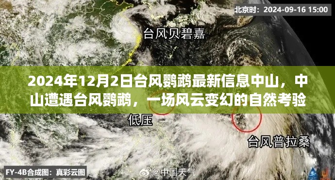中山遭遇臺風(fēng)鸚鵡，風(fēng)云變幻的自然考驗最新信息
