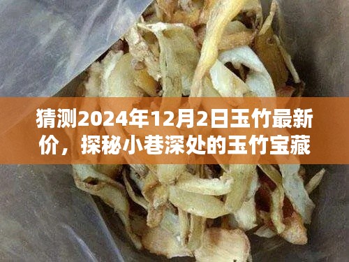 探秘小巷深處的玉竹寶藏,預測2024年12月最新行情與玉竹價格展望