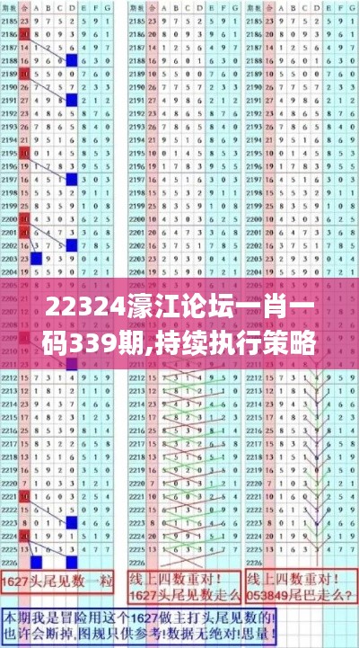 22324濠江論壇一肖一碼339期,持續(xù)執(zhí)行策略_8K38.592-2