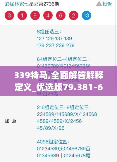 339特馬,全面解答解釋定義_優(yōu)選版79.381-6