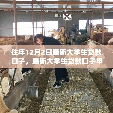 最新大學生貸款口子申請全攻略及操作指南(12月2日版)