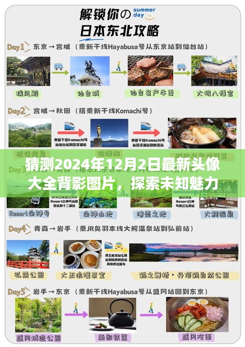 『最新精選，2024年12月2日背影頭像大全，探索未知魅力與未來時尚潮流』