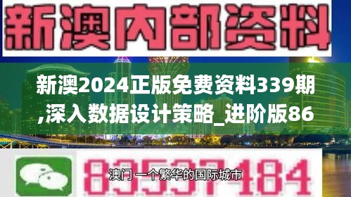 新澳2024正版免費資料339期,深入數據設計策略_進階版86.976-6