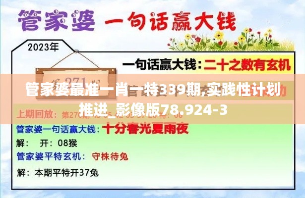 管家婆最準一肖一特339期,實踐性計劃推進_影像版78.924-3