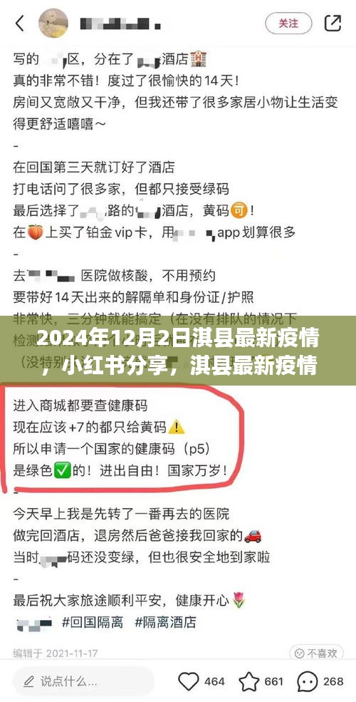 小紅書分享,淇縣最新疫情動態深度解析(2024年12月2日)
