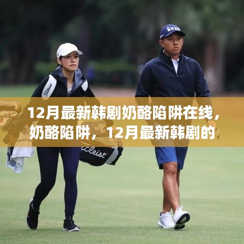 12月最新韓劇奶酪陷阱在線，奶酪陷阱，12月最新韓劇的甜蜜與掙扎