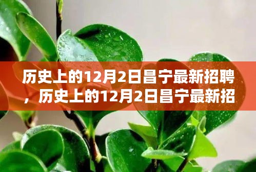 歷史上的昌寧招聘全景解析,最新招聘動態在12月2日揭曉