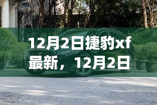 捷豹XF最新動態,與自然共舞,探尋寧靜之旅