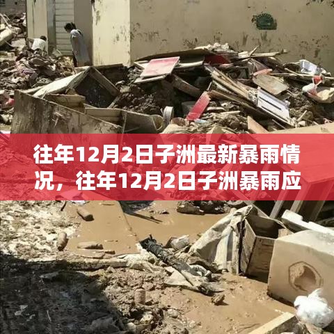往年12月2日子洲暴雨實況及應對指南,準備與行動步驟