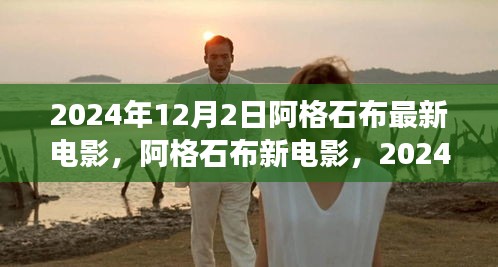 阿格石布新電影,2024年視聽盛宴與觀點爭議深度探討