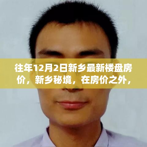 新鄉秘境樓盤房價揭秘，詩意之旅探尋自然美景與居住價值