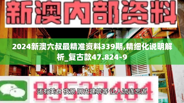 2024新澳六叔最精準資料339期,精細化說明解析_復古款47.824-9