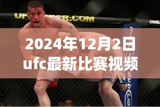揭秘小巷深處的格斗盛宴，UFC最新比賽視頻與美食天堂的雙重體驗（2024年12月2日）