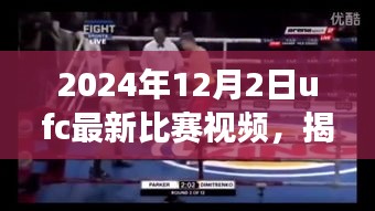 揭秘小巷深處的格斗盛宴,UFC最新比賽視頻與美食天堂的雙重體驗(yàn)(2024年12月2日)