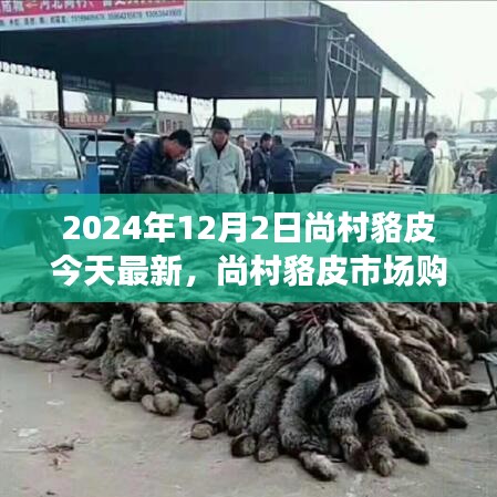 尚村貉皮市場最新指南，選購優(yōu)質(zhì)貉皮的初學者友好版建議