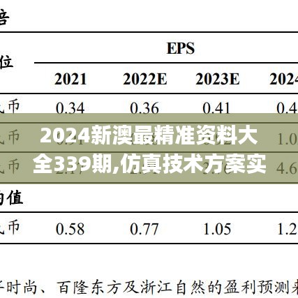 2024新澳最精準資料大全339期,仿真技術方案實現_WP168.537-4