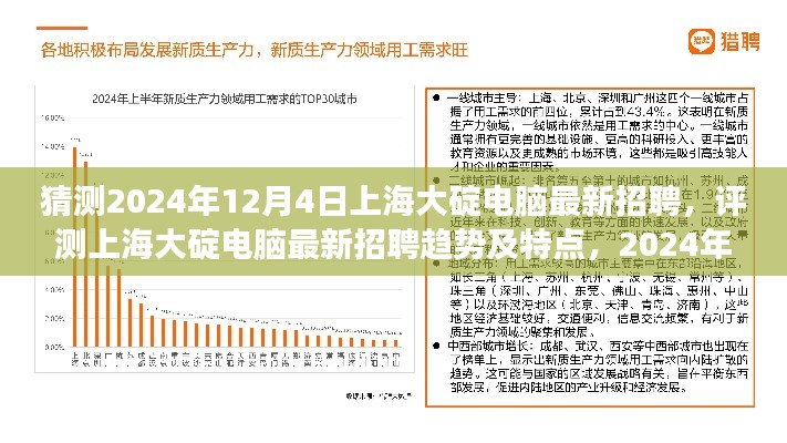 2024年12月4日上海大碇電腦最新招聘趨勢洞察與特點分析