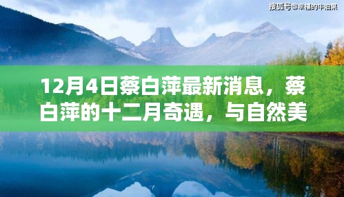 蔡白萍的十二月奇遇,與自然美景的不期而遇,尋找內心的平和靜謐