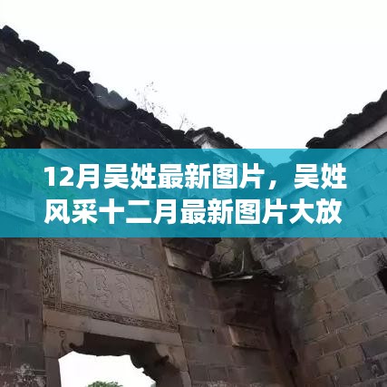 十二月吳姓風(fēng)采展示,最新圖片大放送,絕美瞬間一網(wǎng)打盡