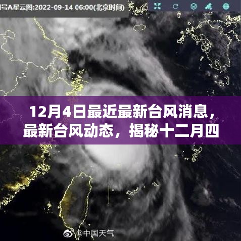 揭秘十二月四日臺風最新動態與消息更新