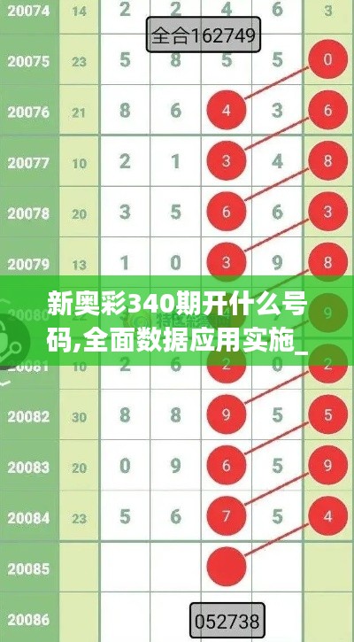 新奧彩340期開什么號碼,全面數據應用實施_專屬版29.462-1