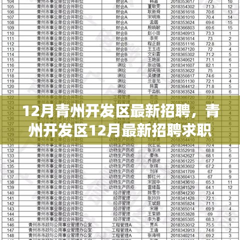 青州開(kāi)發(fā)區(qū)12月最新招聘求職全流程指南,從準(zhǔn)備到面試成功的秘訣