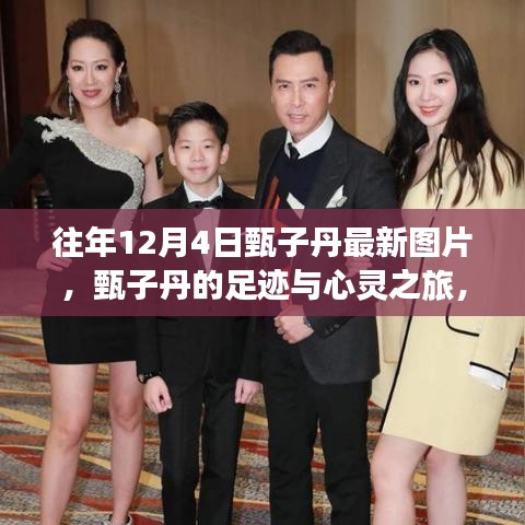 甄子丹足跡與藝術(shù)之旅,探尋自然美景與內(nèi)心平靜的藝術(shù)之旅(最新圖片)