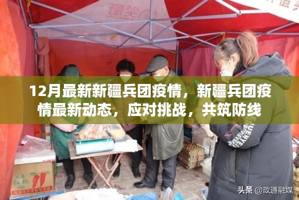 新疆兵團疫情最新動態,共筑防線,應對挑戰的挑戰