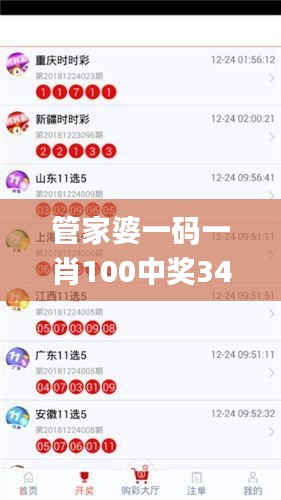 管家婆一碼一肖100中獎340期,數據引導策略解析_WP版41.718-6