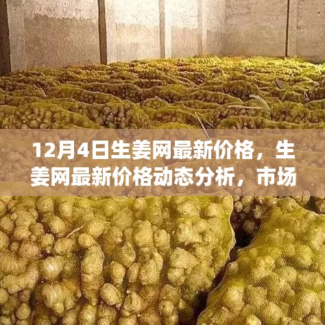 12月4日生姜網價格更新,市場動態(tài)分析與觀點碰撞