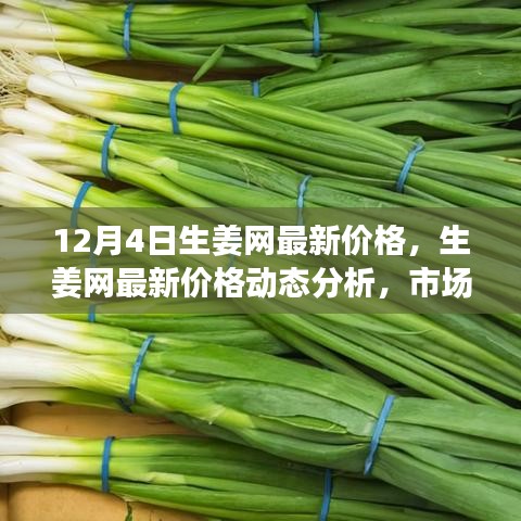 12月4日生姜網價格更新,市場動態(tài)分析與觀點碰撞