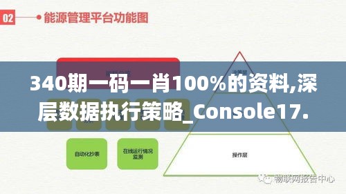 340期一碼一肖100%的資料,深層數據執行策略_Console17.528-8