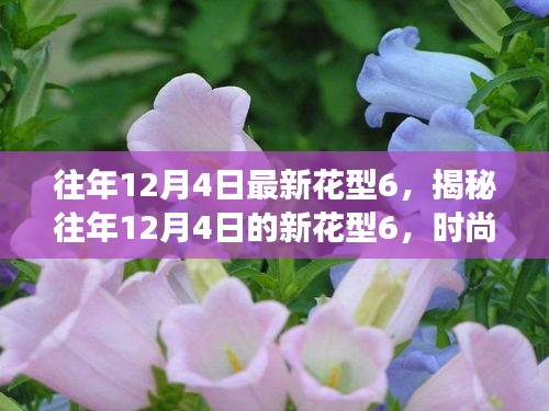 揭秘往年12月4日新花型6,時尚變遷與流行趨勢深度解讀